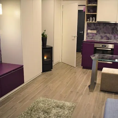 Fine Ljubljana 4 Star דירה